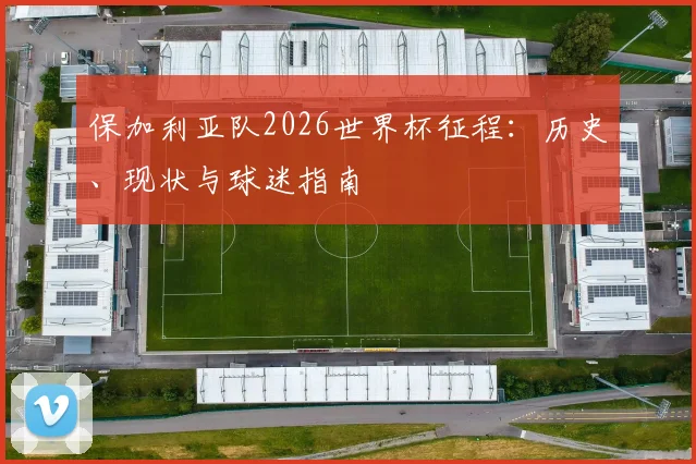 保加利亚队2026世界杯征程：历史、现状与球迷指南
